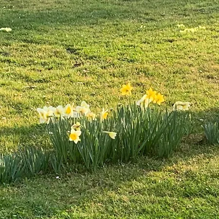 Vakantiehuis Loretto *