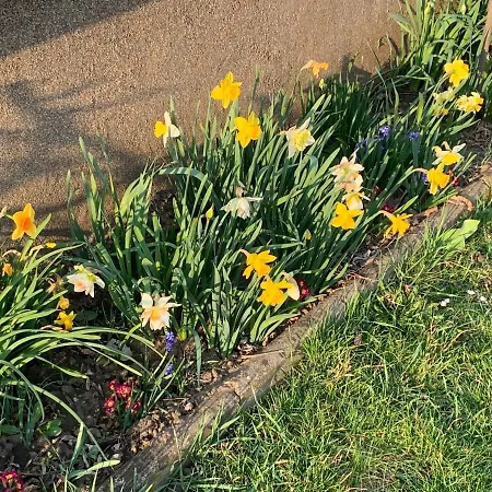 Loretto בית נופש Wolzing-Fischering