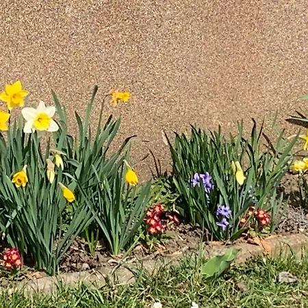 Loretto Wolzing-Fischering