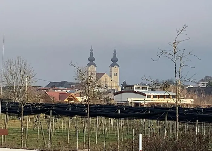 Loretto Wolzing-Fischering