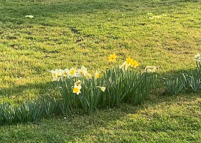 Дом отдыха Loretto *