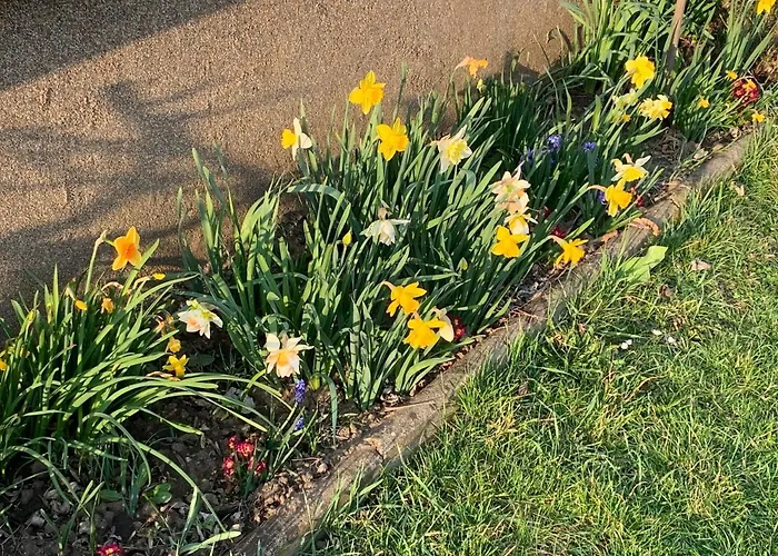 Loretto Ferienhaus Wolzing-Fischering