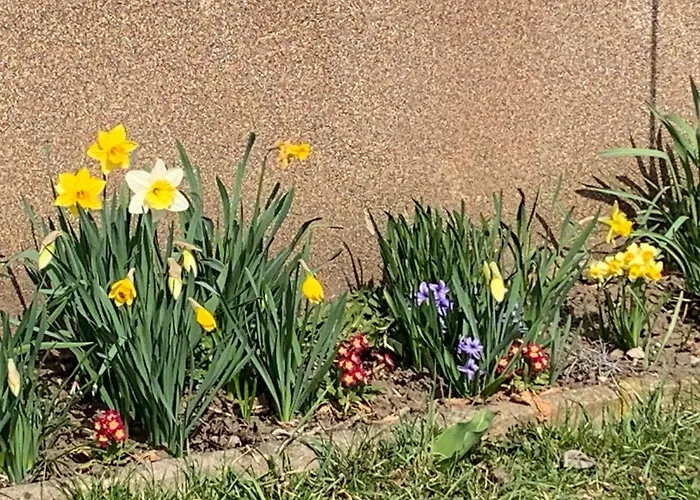 Loretto Wolzing-Fischering